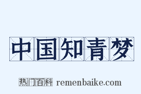 中国知青梦是什么意思的图片